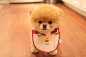 images (11)