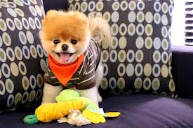 images (26)