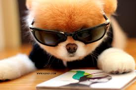 images (50)