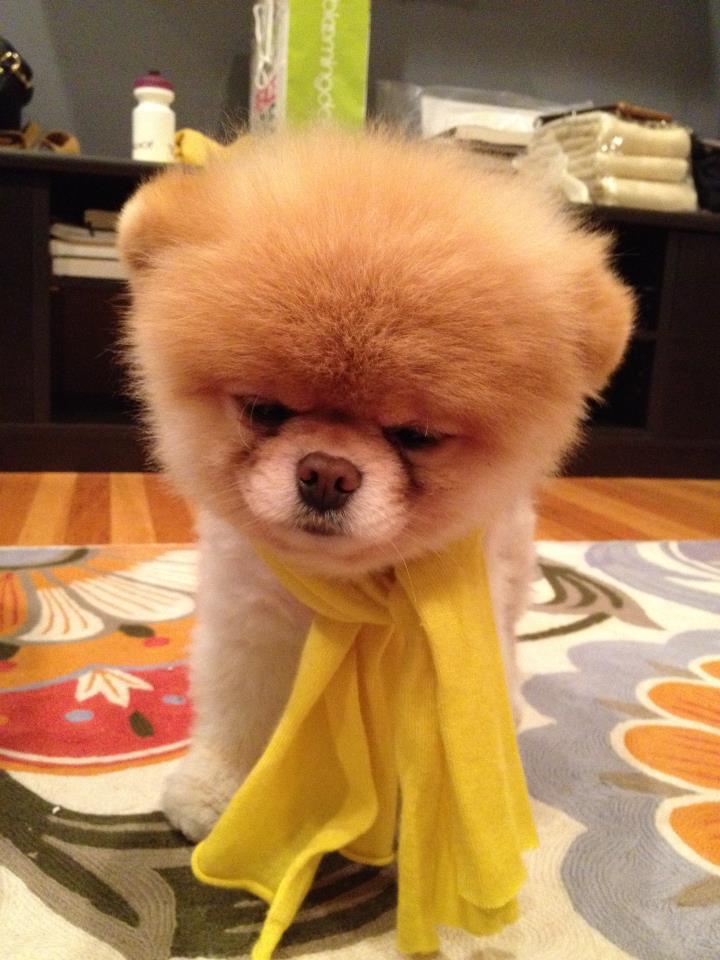 boo 2