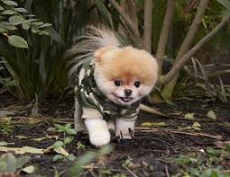 images (7)