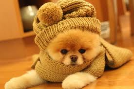 images (10)