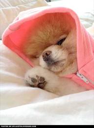 images (25)